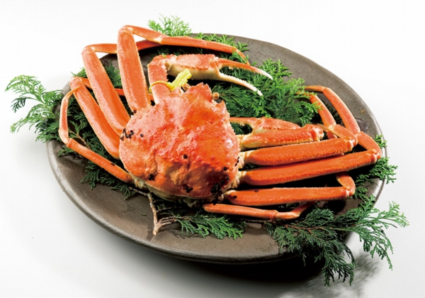 越前のお造り盛り合わせ