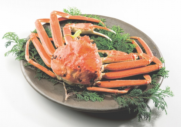 越前のお造り盛り合わせ