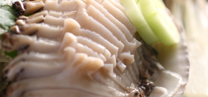 Awabi  abalone