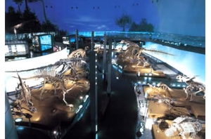 福井県恐竜博物館