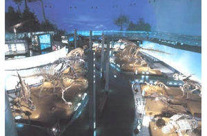 福井県恐竜博物館