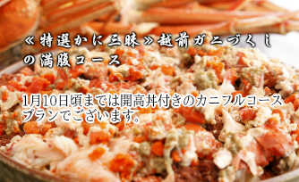 開高丼付き越前がにフルコースプラン