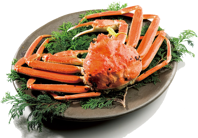 ECHIZEN-Gani crab
